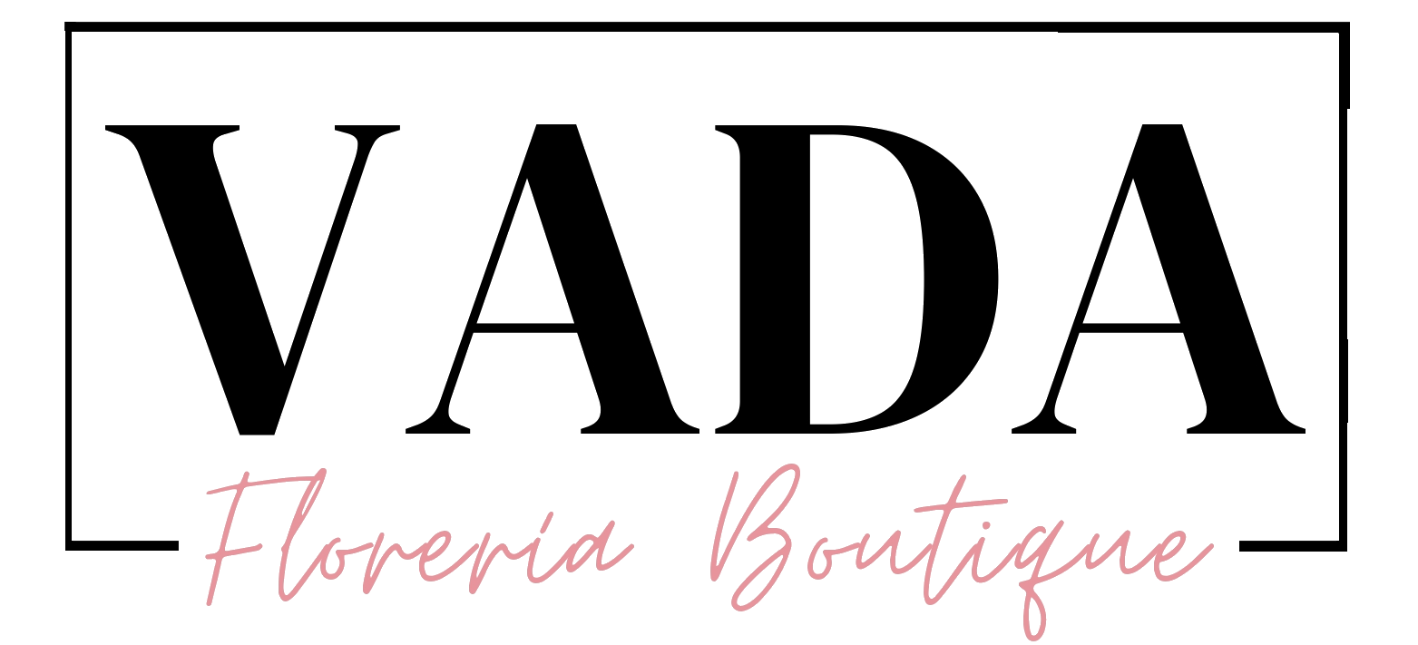 VADA PRUEBAS
