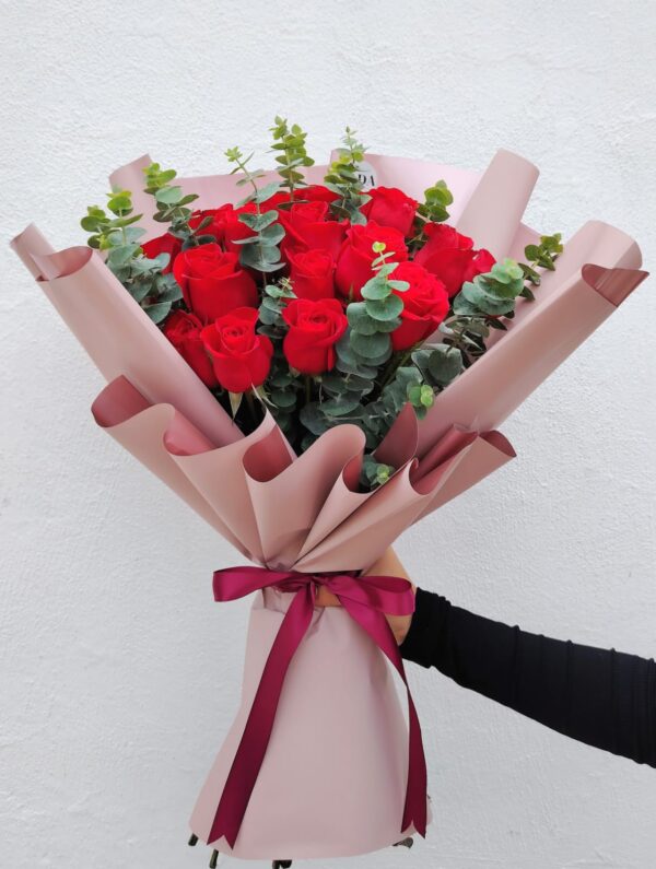 WhatsApp Image 2025-09-03 at 5.17.50 PM (1) Promesa Roja