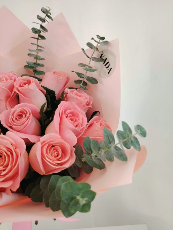 12 Rosas rosas con dollar