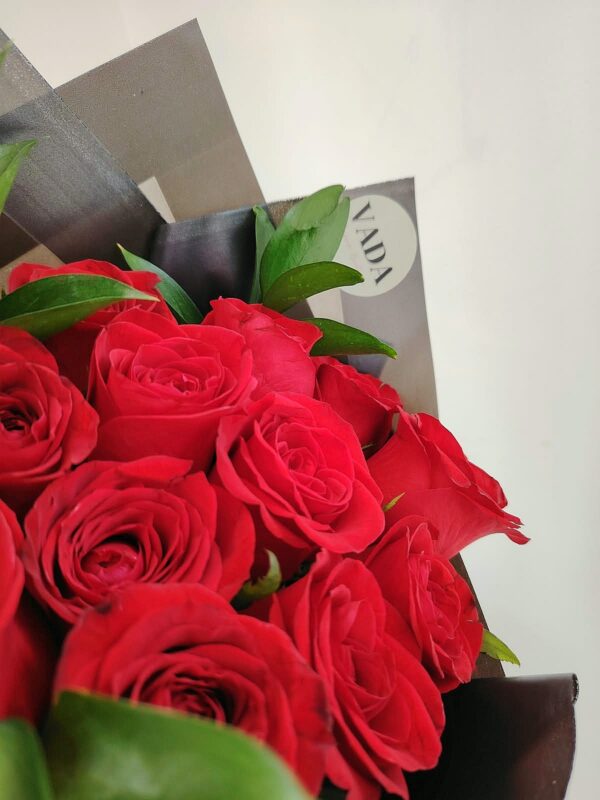 12 Rosas rojas con dollar