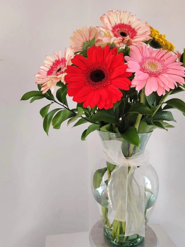 Florero gerbera mixta