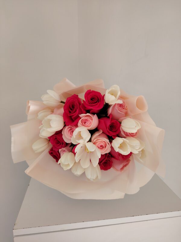 IMG_20260814_170917 Blanco y Fucsia