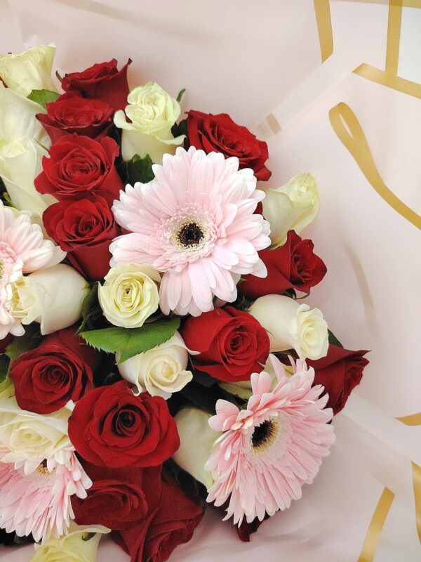 WhatsApp Image 2026-09-04 at 4.31.16 PM Entre petalos