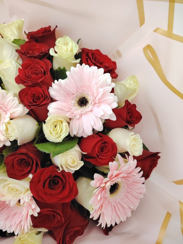 WhatsApp Image 2026-09-04 at 4.31.17 PM Entre petalos