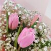 WhatsApp Image 2026-09-04 at 4.48.19 PM Cielo de tulipanes