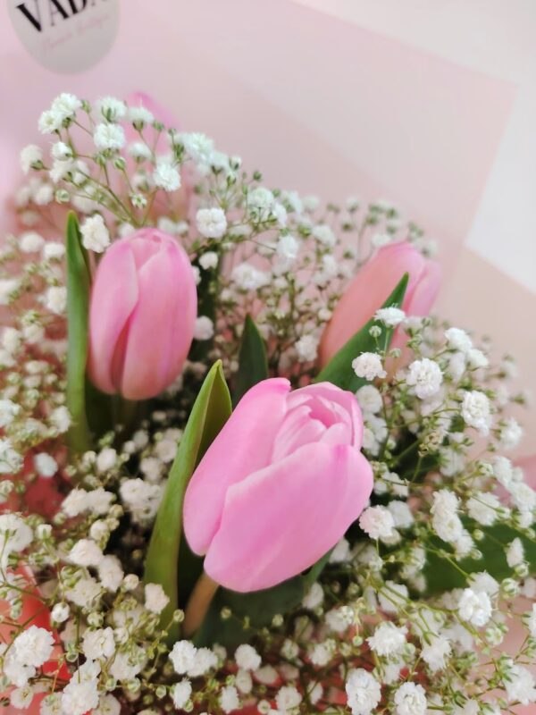 WhatsApp Image 2026-09-04 at 4.48.19 PM Cielo de tulipanes